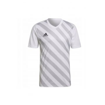 Tricou sport barbati  Entrada 22 - Poliester - Alb/Gri