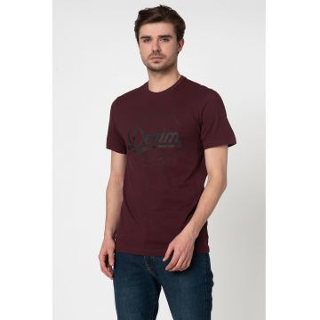 Tricou cu decolteu la baza gatului si imprimeu logo Alex 2