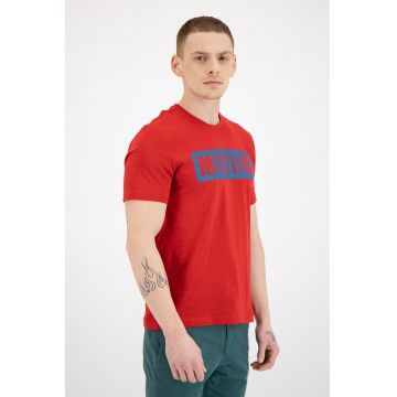Tricou cu decolteu la baza gatului si imprimeu logo Alex