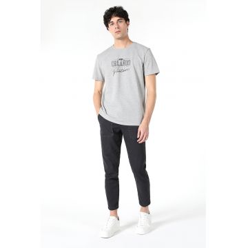 Tricou regular fit cu imprimeu