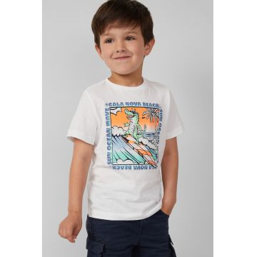 Tricou regular-fit cu imprimeu grafic