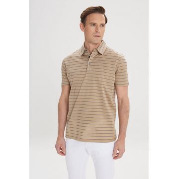 Tricou polo din bumbac cu model in dungi