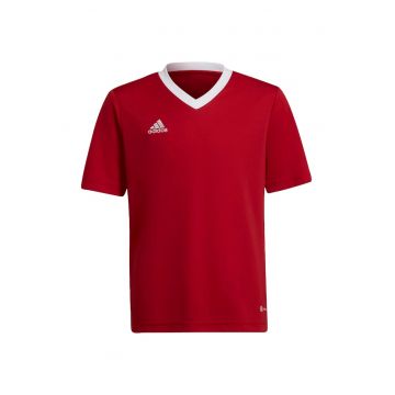 Tricou  Jr Ent22 Jersey