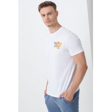 Tricou de bumbac cu logo si imprimeu grafic