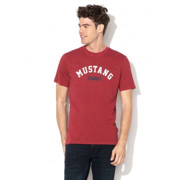 Tricou cu imprimeu logo Alex n