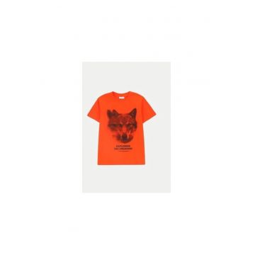 Tricou baieti -  304486906 - Bumbac - 158 CM - Negru
