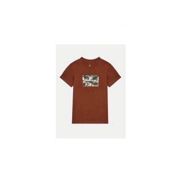 Tricou baieti -  304523069 - Bumbac - 176 CM - Maro