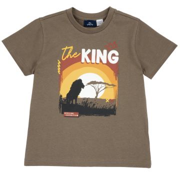 Tricou copii Chicco, maro cu albastru, 16710-68MC