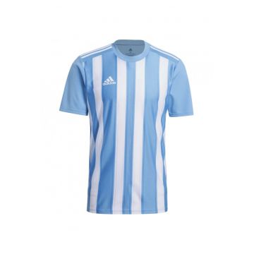 Tricou  Striped 21 barbati